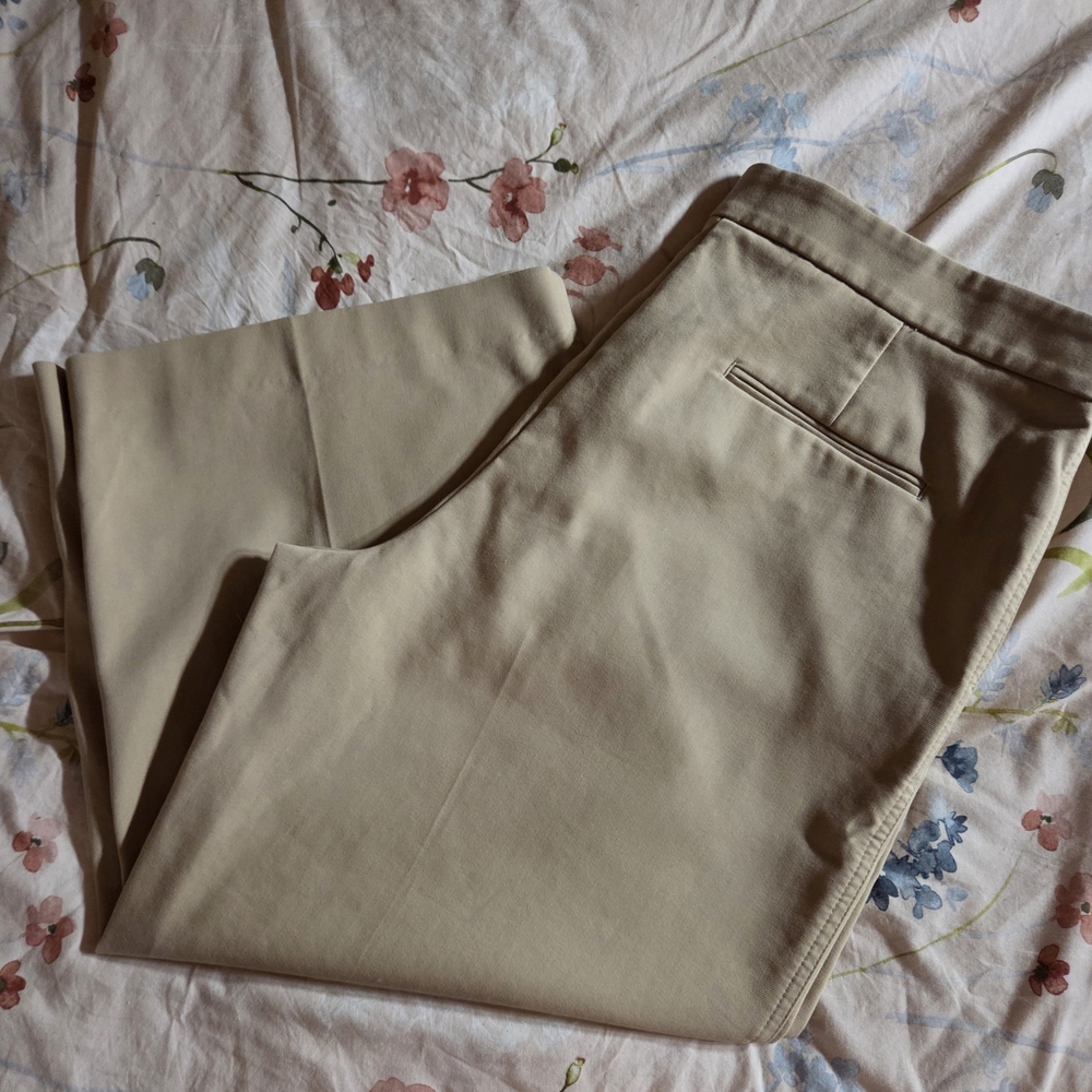 Ann Taylor Tan Pants - Picture 3 of 6